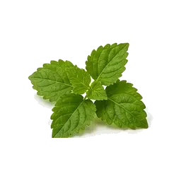 Eterično ulje pačulija